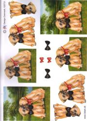 Hunde HM 120731