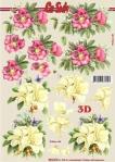 3 D Ark 8215.376