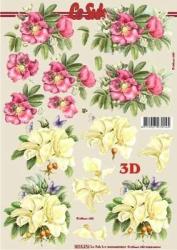 3 D Ark 8215.376