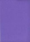 Karton 30 x 30 Violet