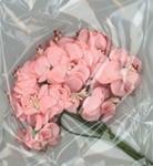 Papir blomster Mrk Pink 567856