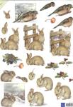 Hare MB0114
