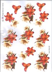 Blomst 130102