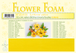Leane Flower Foam A4 24.4155